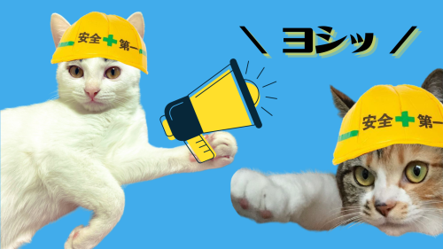 ヨシッ 20240911 130112 0000