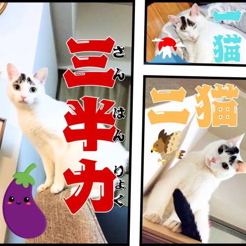 一富士二鷹三茄子 20250101 212249 0000