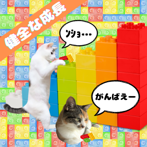 健全な 20241217 171503 0000