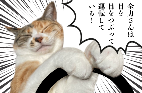 全力さんは-目を-目をつぶって-運転して-いる！ 20250107 104220 0000