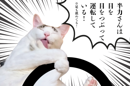 全力さんは-目を-目をつぶって-運転して-いる！ 20250107 111228 0000