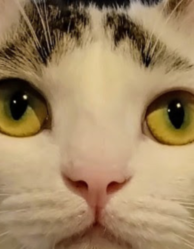 名称未設定のデザイン 20240914 065011 0000