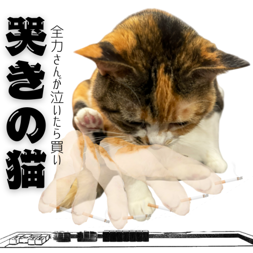 哭きの猫 20241127 100610 0000