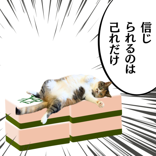 哭きの猫 20241127 103255 0000