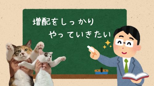増配をしっかりやっていきたい 20240911 213601 0000