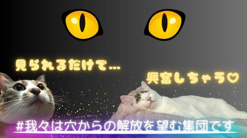 我々は穴からの解放を望む集団です 20240917 224648 0000