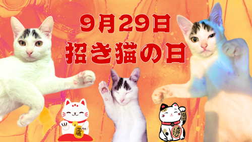 招き猫の日 20240929 122938 0000