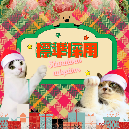 新規受注 20241217 133837 0000