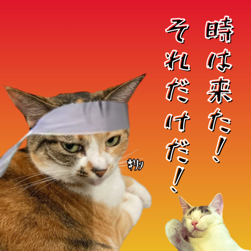 時は来た！-それだけだ！ 20241222 172259 0000