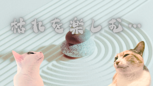 枯れを楽しむ… 20241018 105301 0000