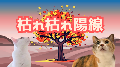 枯れ枯れ陽線 20241028 154525 0000