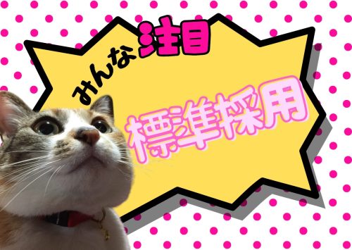 標準採用 20240828 141621 0000