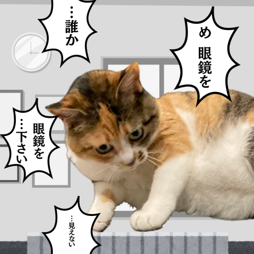 段落テキスト 20241127 173619 0000