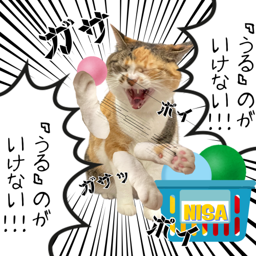 段落テキスト 20241221 095505 0000