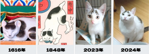 段落テキスト 20250102 205040 0000