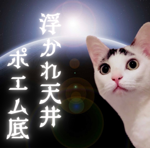 浮かれ天井-ポエム底 20241213 153958 0000