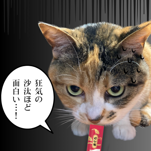 狂気の-沙汰ほど-面白い…！ 20241209 092220 0000