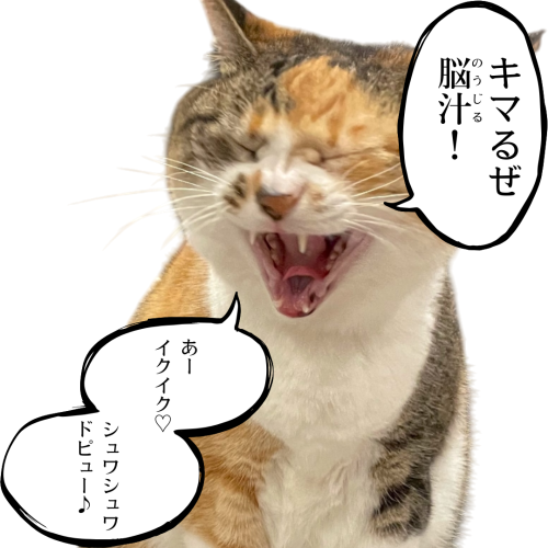 狂気の-沙汰ほど-面白い…！ 20241209 093432 0000