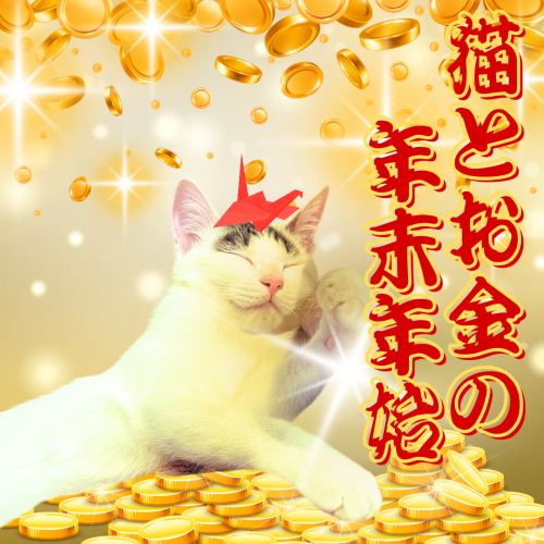 猫とお金の年末年始 20241218 213646 0000