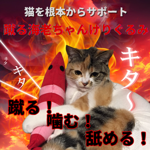 猫を根本からサポート 20241128 034401 0000