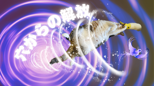 穴からの解放 20240917 220121 0000