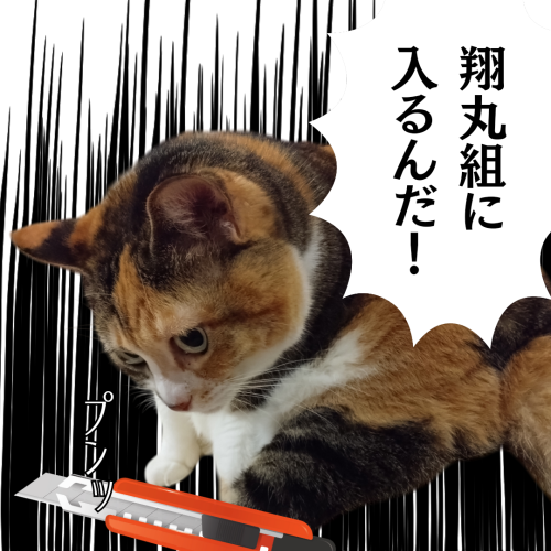 翔丸組に-入るんだ！ 20241126 175015 0000