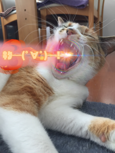 ｷﾀ━ﾟ∀ﾟ━ 20240905 151720 0000